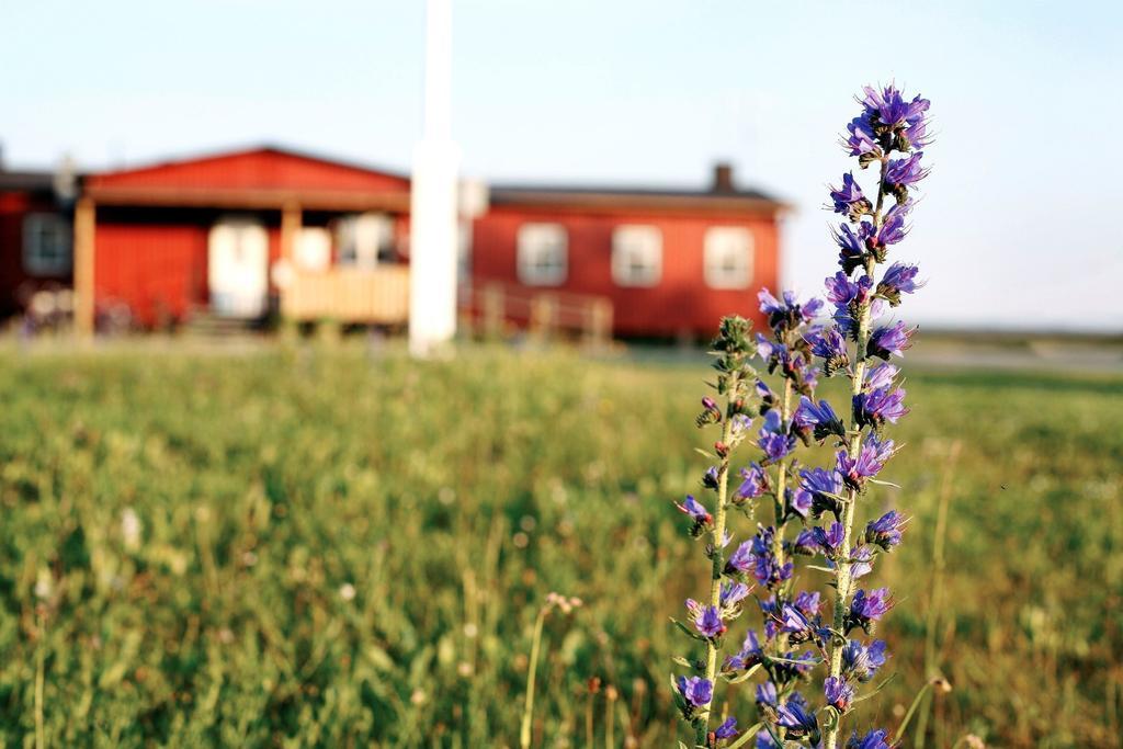 Stf Bunge Hostel Fårösund Eksteriør billede